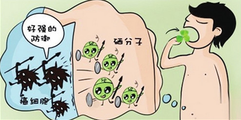 微量元素硒在醫(yī)學上有何重要的作用