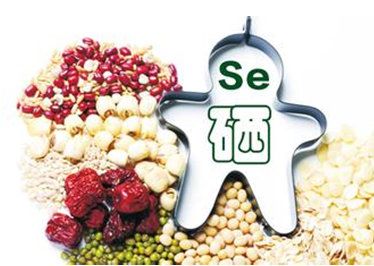 科學(xué)補(bǔ)硒 社會的責(zé)任 