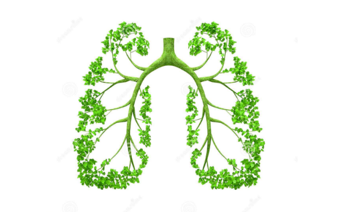 肺好百病消，秋季養(yǎng)肺謹(jǐn)記這幾點(diǎn)！