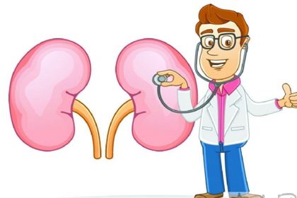 你的腎臟健康嗎？研究表明補(bǔ)硒對(duì)腎臟有保護(hù)作用