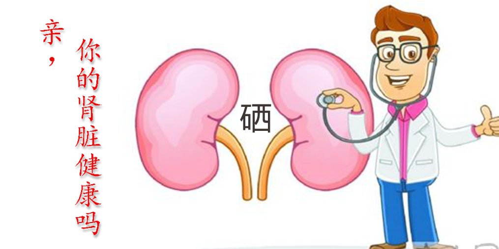 世界腎臟日|關(guān)愛腎臟健康，從補(bǔ)硒開始