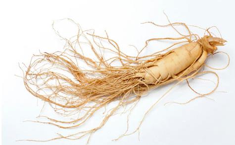 癌癥患者能吃人參皂苷嗎？該如何服用？