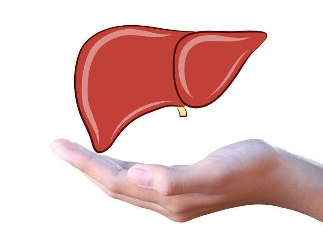 補(bǔ)硒鑄就肝臟四大防線，養(yǎng)肝護(hù)肝，快來(lái)補(bǔ)硒吧