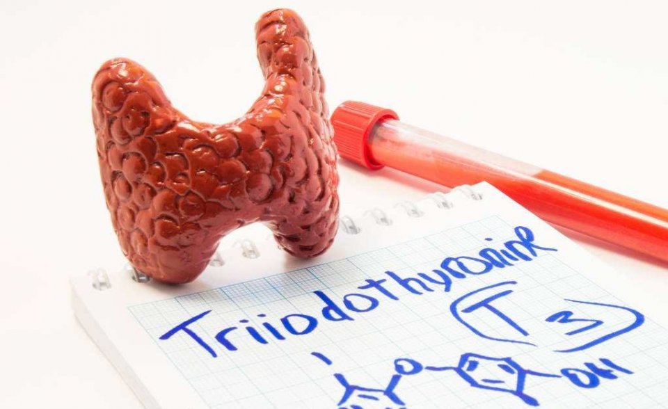 甲狀腺功能異常？注意硒攝入是否充足！