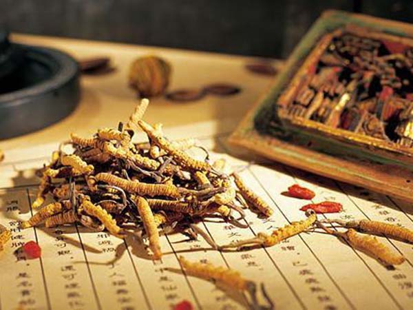 冬蟲(chóng)夏草調(diào)理脂肪肝主要體現(xiàn)在哪