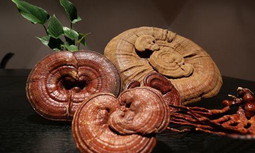 靈芝孢子粉大科普，你要了解的，全都有！