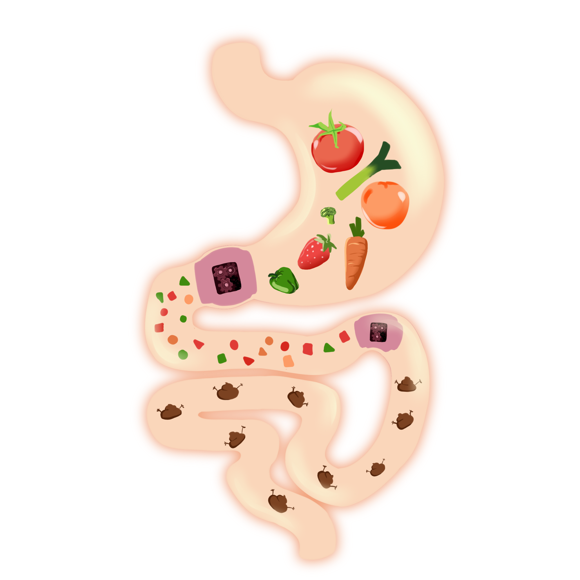 桂仁課堂 | 硒元素助力排出毒素
