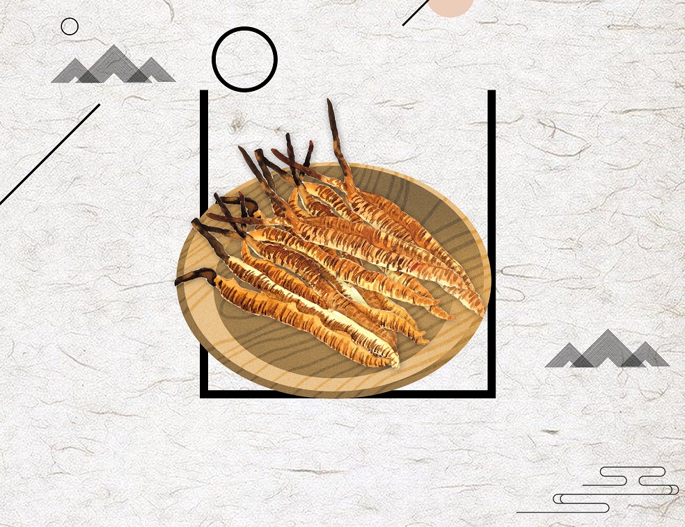 冬蟲(chóng)夏草術(shù)后滋補(bǔ)，一定要注意，小心適得其反