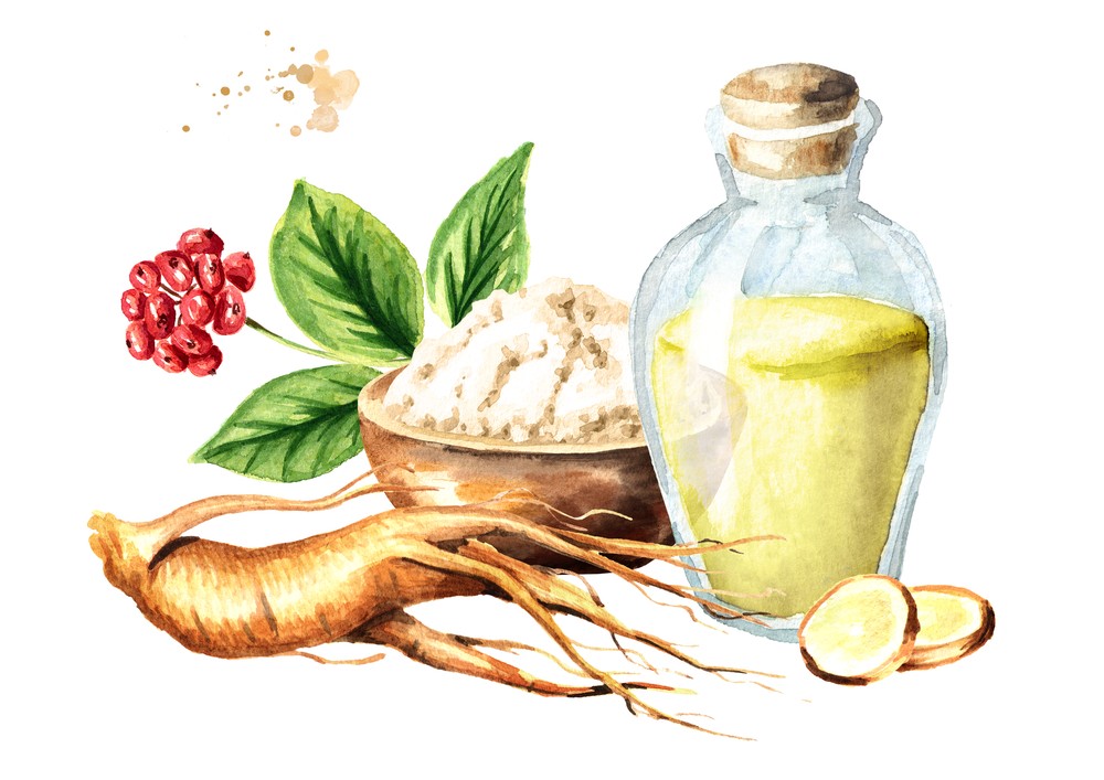 人參皂苷的主要成分有哪些？