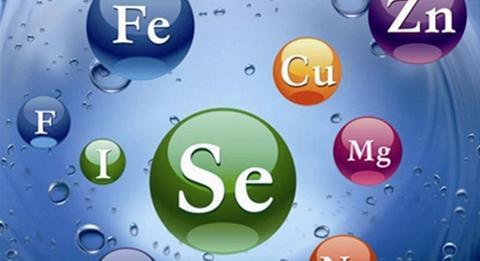 老人想要不生病，5種元素少不了！別只知道維生素