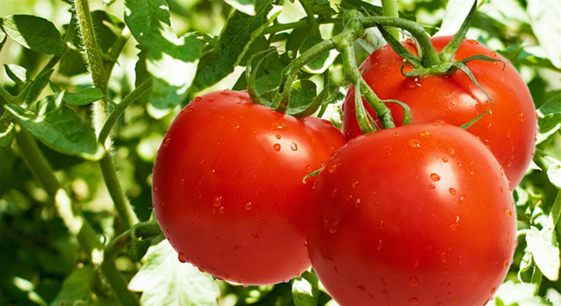 含有豐富的維生素和膳食纖維，但是這3類人一定要謹(jǐn)記少食