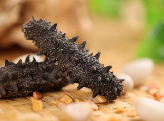 出現(xiàn)便秘還可以繼續(xù)食用海參嗎？