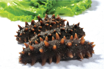 海參滋補，都有哪些對海參是禁忌？