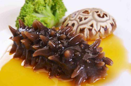 關(guān)于海參的冷知識(shí)，您知道嗎？