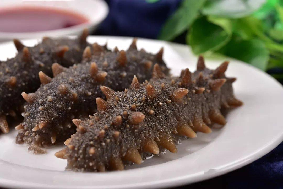 夏季能不能吃海參滋補(bǔ)身體呢？