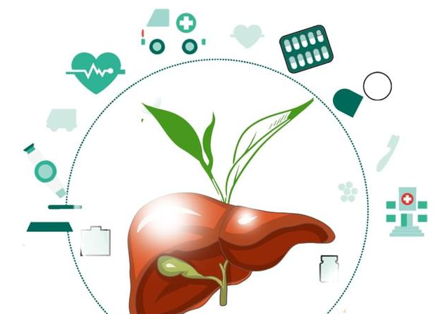 春季養(yǎng)肝正當(dāng)時(shí)